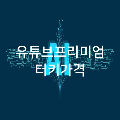 유튜브프리미엄 터키가격