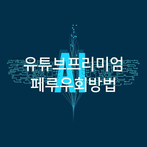 유튜브프리미엄 페루우회방법