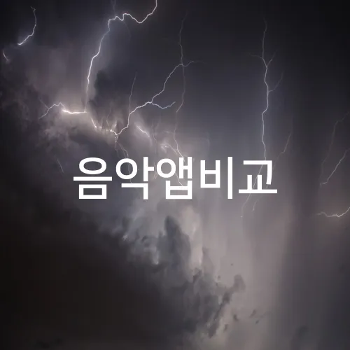 음악앱비교