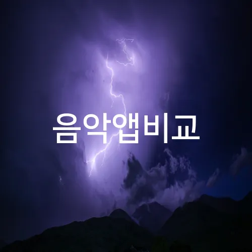 음악앱비교