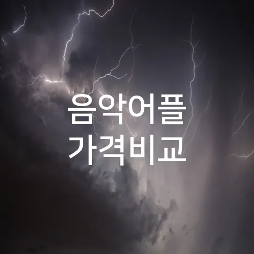 음악어플 가격비교