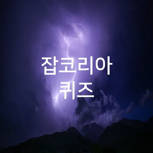 잡코리아 퀴즈