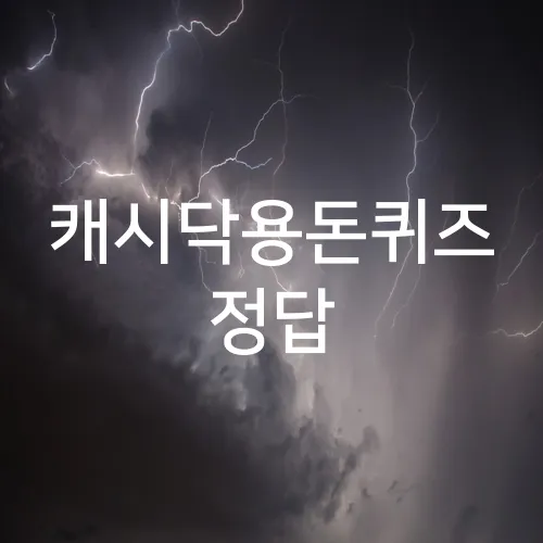 캐시닥용돈퀴즈 정답