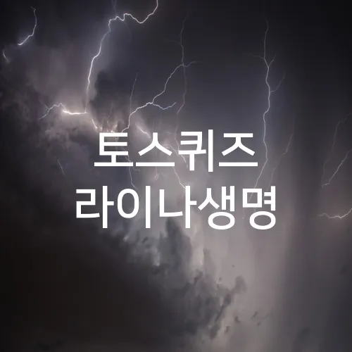 토스퀴즈 라이나생명