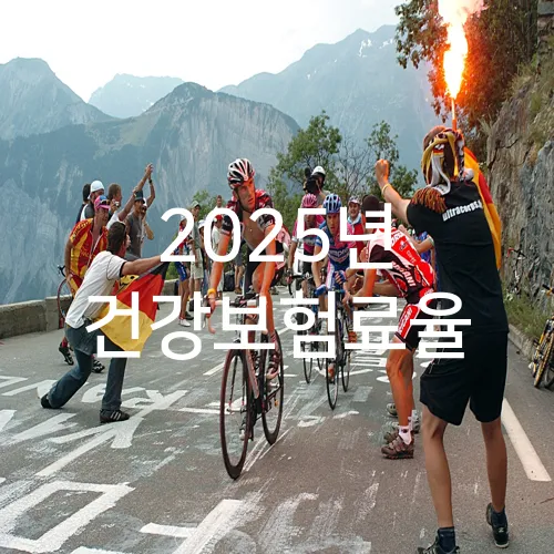 2025년 건강보험료율