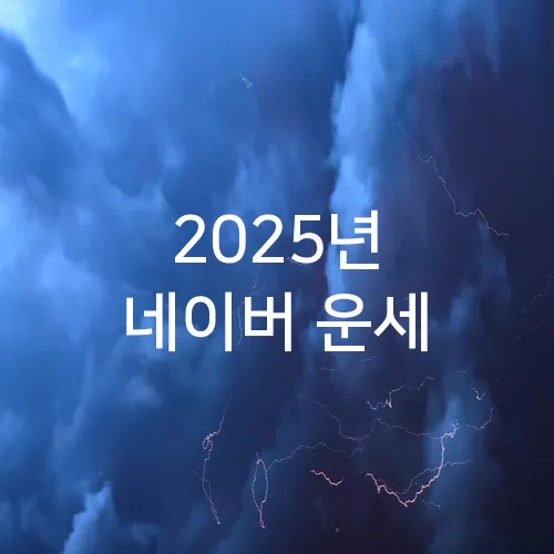 2025년 네이버 운세