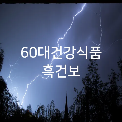 60대건강식품 흑건보