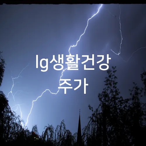 lg생활건강 주가