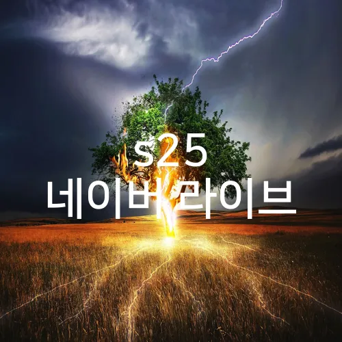 s25 네이버 라이브