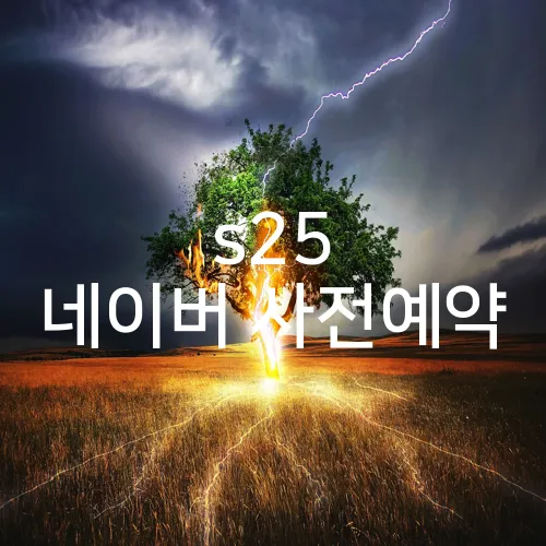 s25 네이버 사전예약