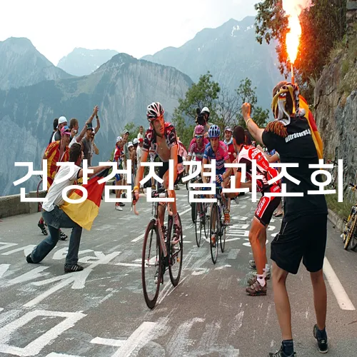 건강검진결과조회