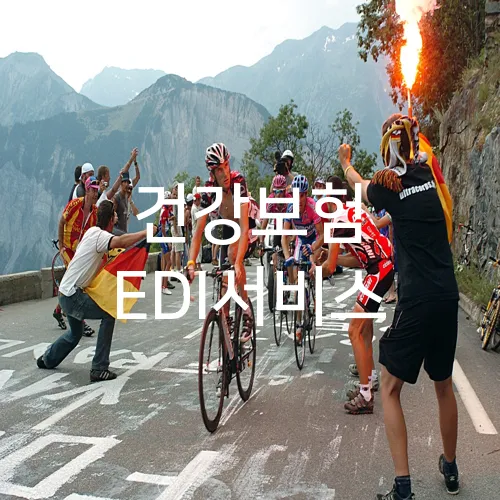 건강보험 EDI서비스