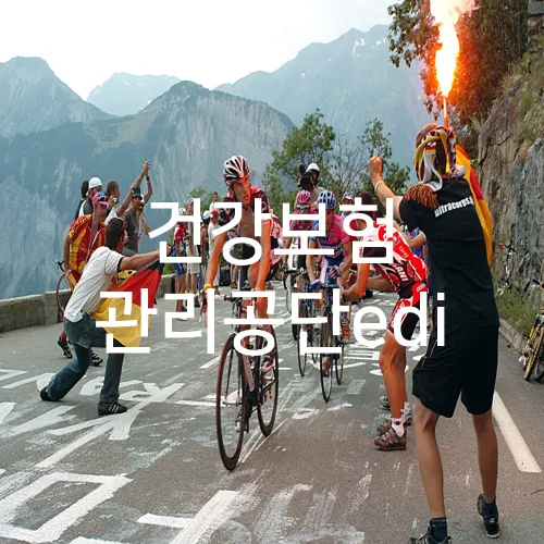 건강보험 관리공단edi