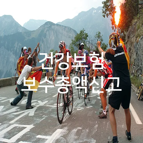 건강보험 보수총액신고