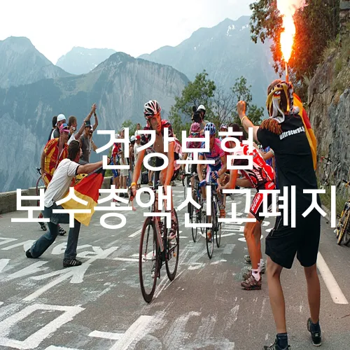 건강보험 보수총액신고폐지