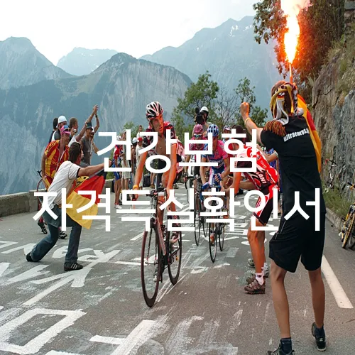 건강보험 자격득실확인서