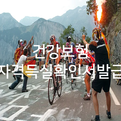 건강보험 자격득실확인서발급