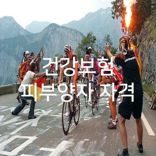 건강보험 피부양자 자격