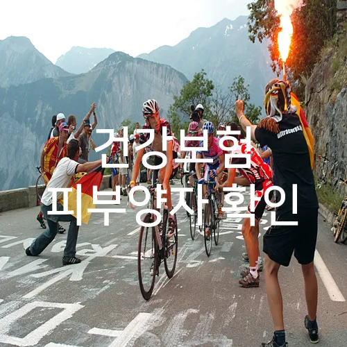 건강보험 피부양자 확인