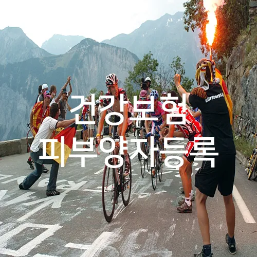 건강보험 피부양자등록