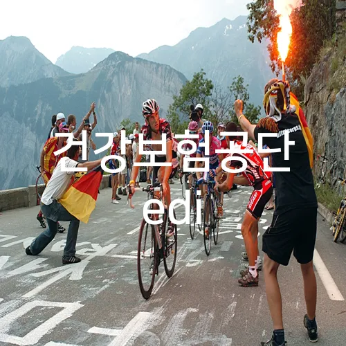 건강보험공단 edi