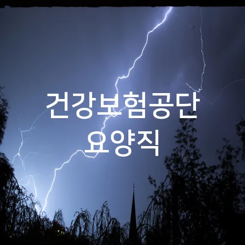 건강보험공단 요양직