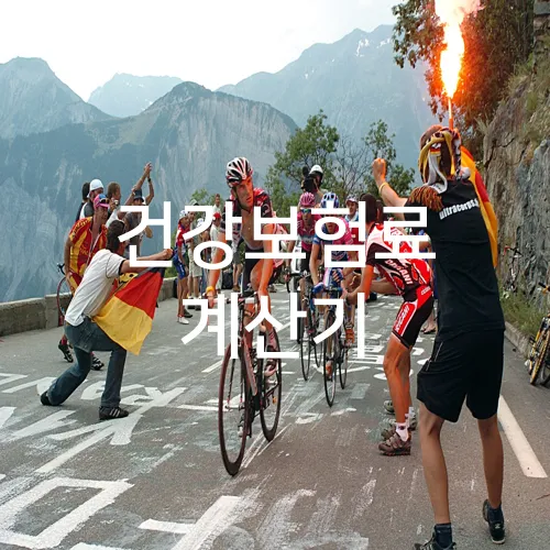 건강보험료 계산기