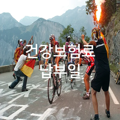 건강보험료 납부일