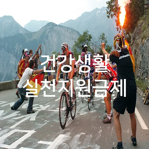 건강생활 실천지원금제