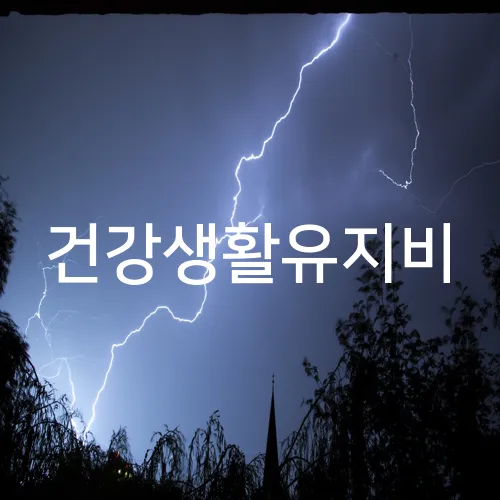 건강생활유지비