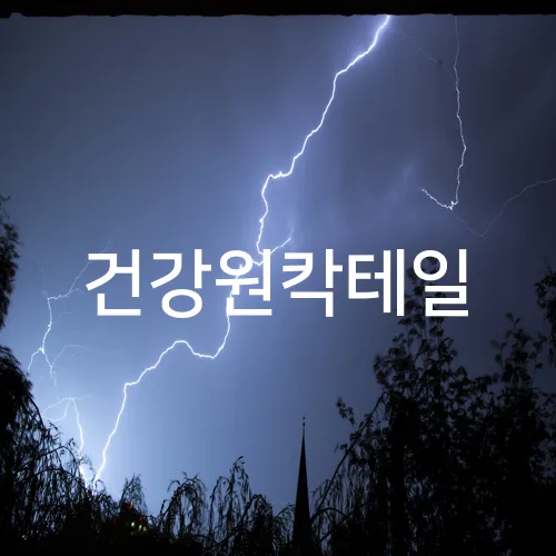 건강원칵테일