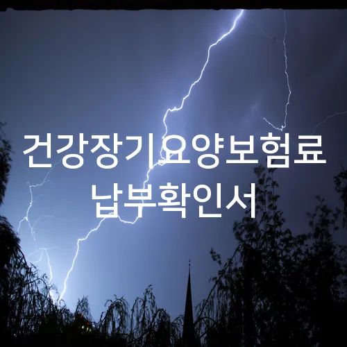 건강장기요양보험료 납부확인서