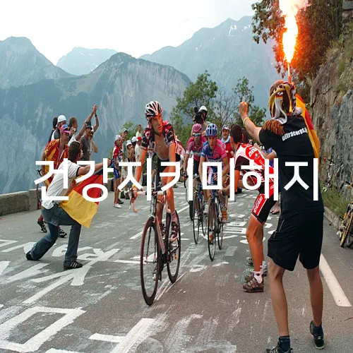건강지키미해지