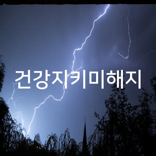 건강지키미해지