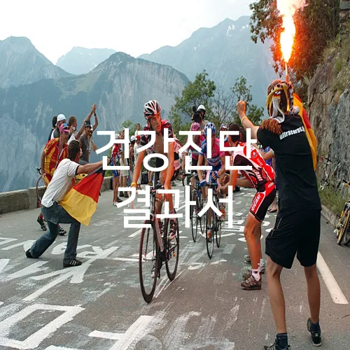 건강진단 결과서