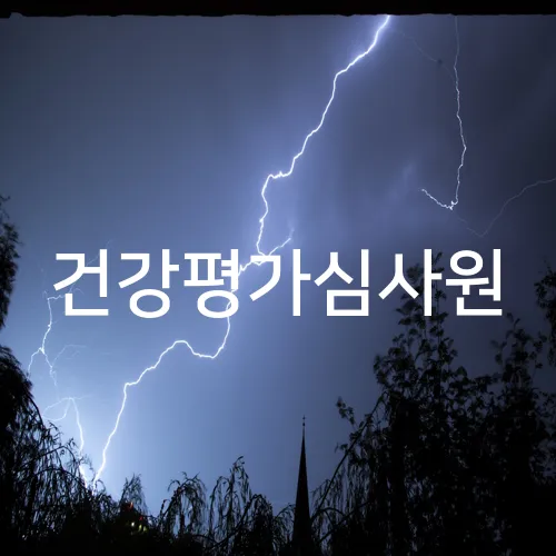 건강평가심사원