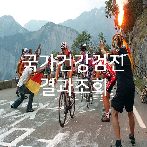국가건강검진 결과조회