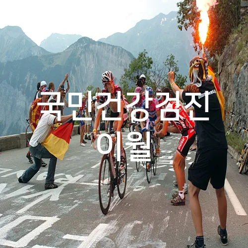 국민건강검진 이월