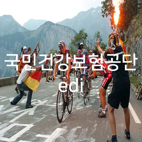 국민건강보험공단 edi