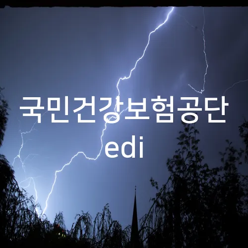 국민건강보험공단 edi