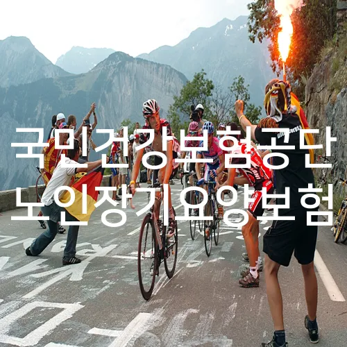 국민건강보험공단 노인장기요양보험