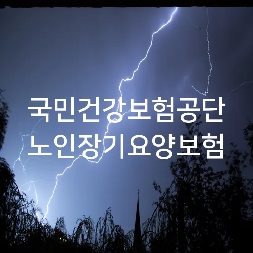 국민건강보험공단 노인장기요양보험