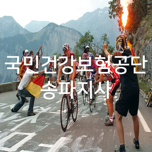 국민건강보험공단 송파지사