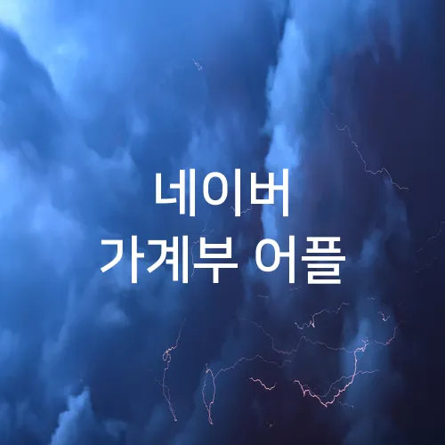 네이버 가계부 어플