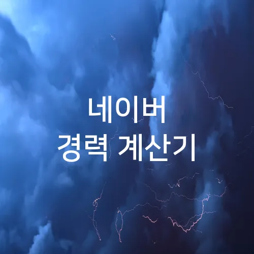 네이버 경력 계산기