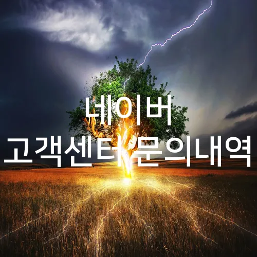네이버 고객센터 문의내역