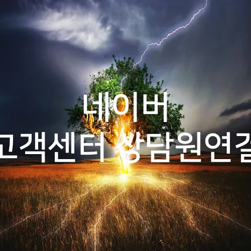 네이버 고객센터 상담원연결