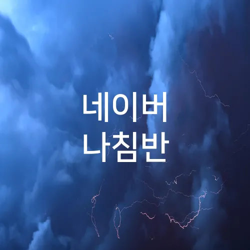 네이버 나침반