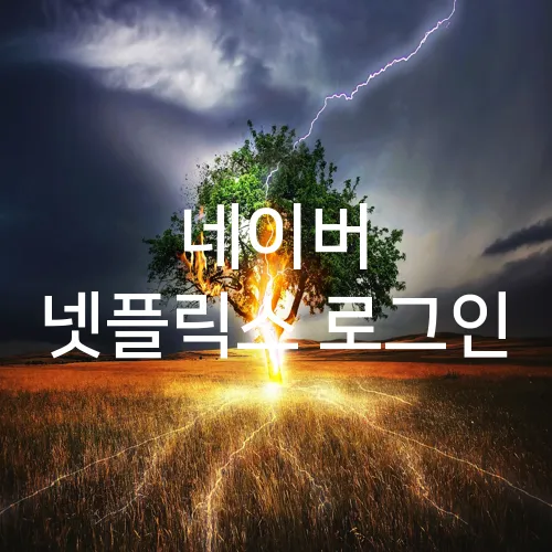 네이버 넷플릭스 로그인