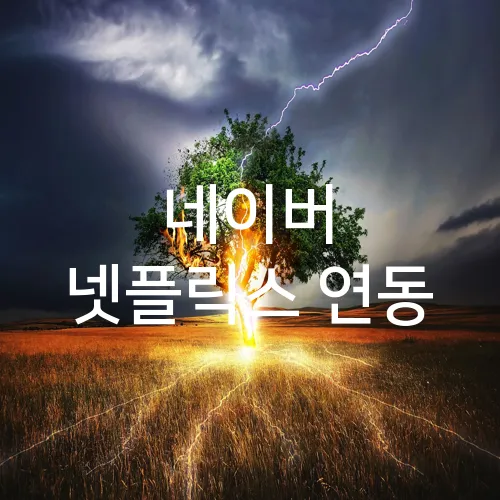 네이버 넷플릭스 연동